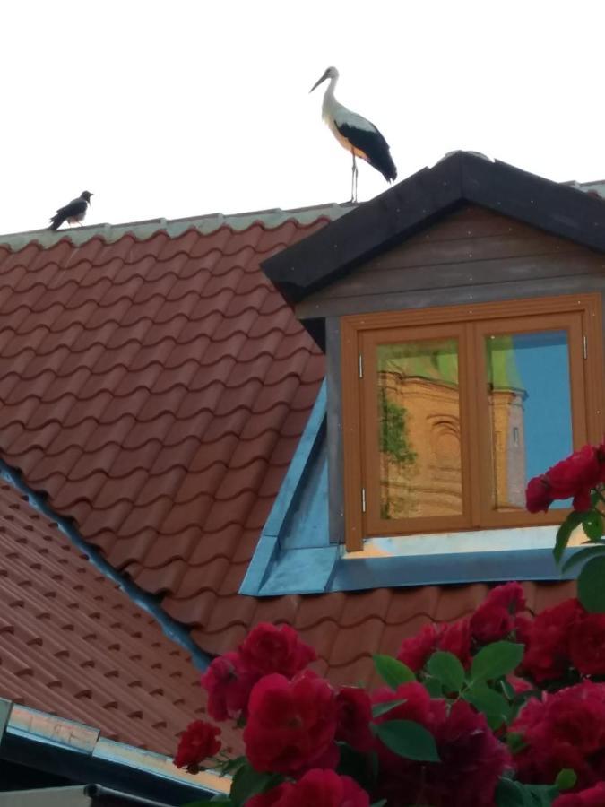Appartamento Lauma Kuldīga Esterno foto